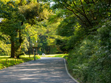 Yoyogi park in Tokyo is a famous place to relax and rest. Summer and green leaves.