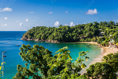 Amazing tropical beach in Trinidad and Tobago, Caribe - blue sky, trees, sand beach