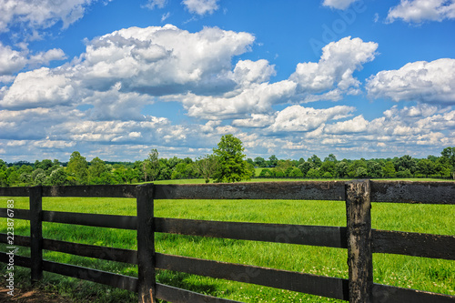 Farm landscape