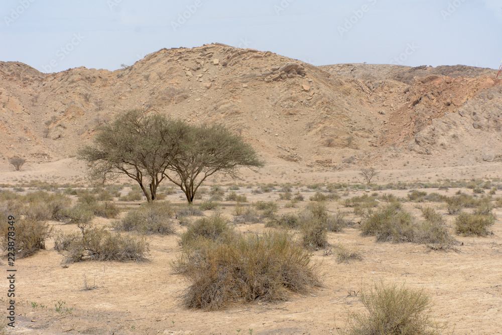 The open hot, dry, arid, desert loneliness by Jebal Jais Mountain in Ras al Khaimah (RAK) in the United Arab Emirates (UAE).