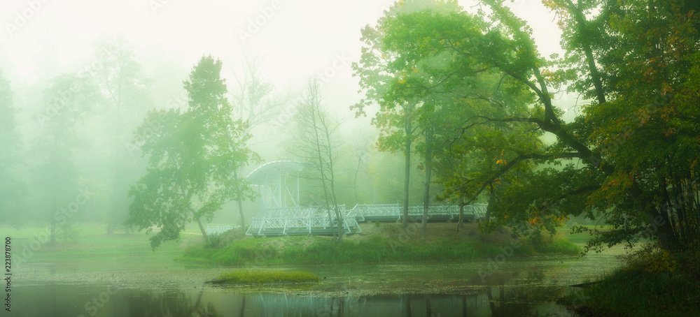 foggy landscape foggy landscape