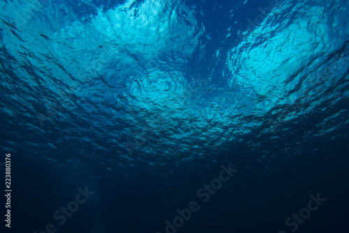 Water Surface fron below © Francesco