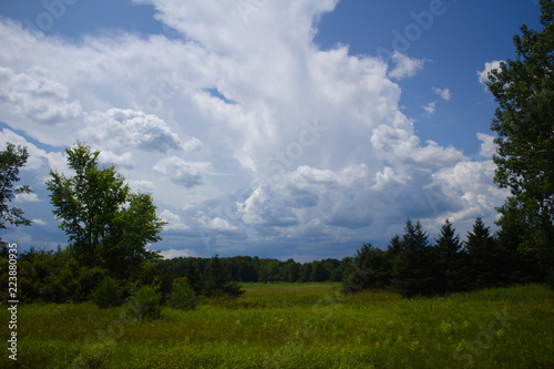 Summer Landscape with Bright Blue Skies and Fluffy White Clouds Over Green Grass Field and Pine and Hardwood Trees