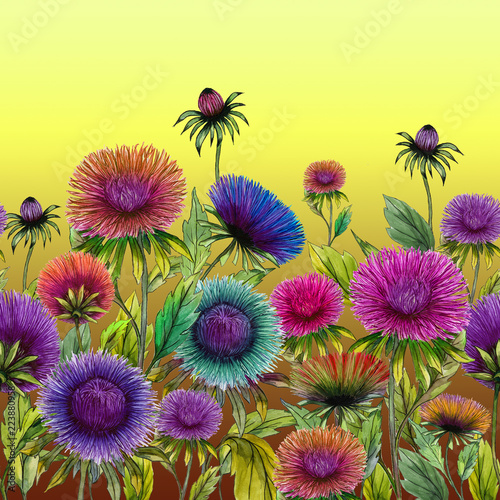 Beautiful colorful aster flowers with green leaves on yellow background. Seam...