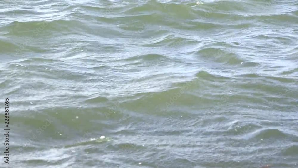 Bord de mer