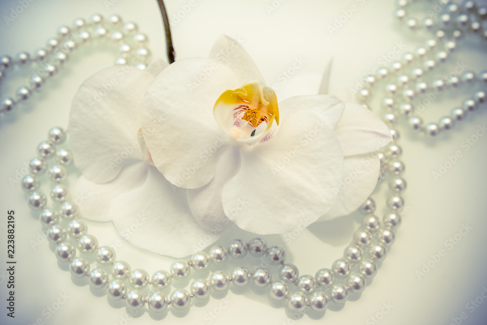 pearl and white orchid on a white glas pearl and white orchid on a white glas
