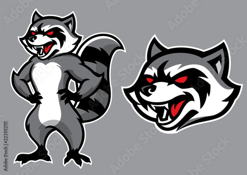 racoon mascot in set