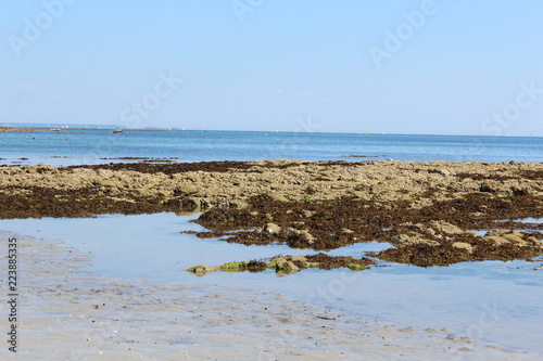 les rochers de la marée