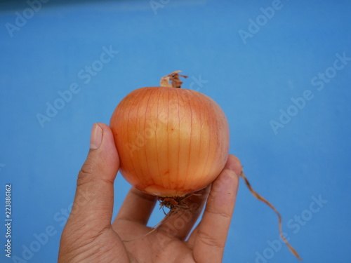 organic onion and garlic on hand 