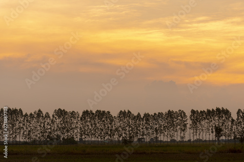 Landscape view while sunset at countryside warm tone.
