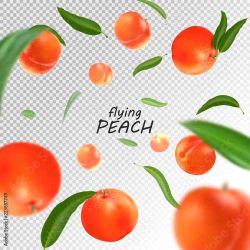 Fototapeta Naklejka Na Ścianę i Meble -  Flying peach. Realistic 3D illustration. Vector peaches on transparent background.