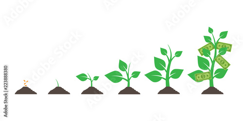 Growing money tree. isolated on white background. Vector illustration. Eps 10.