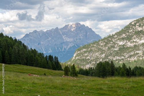 Mountain scene of the Italian Dolomites  near the Giau Pass  on a Summer Afternoon.