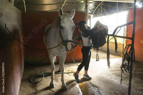 ragazzina che sella un cavallo photo