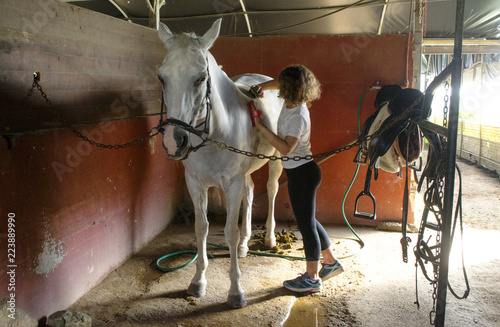 ragazzina che prepara un cavallo bianco nella stalla photo