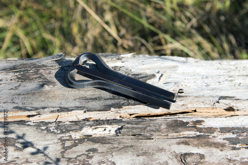 jew's harp on the wood