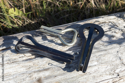 jew's harps on the wood