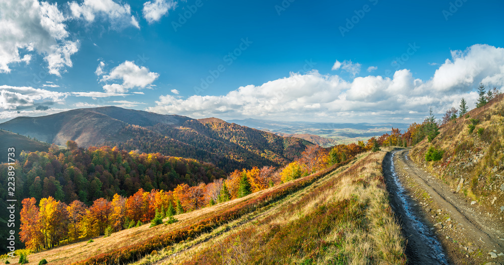 Panorama of colorful trees and road in the autumn mountains.