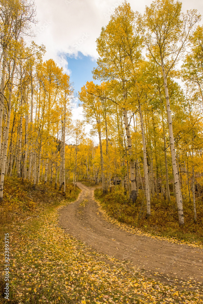 Fototapeta premium Autumn Back Roads in Colorado