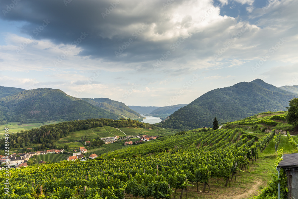 Spitz, Austria, View to Danube river in Wachau valley.