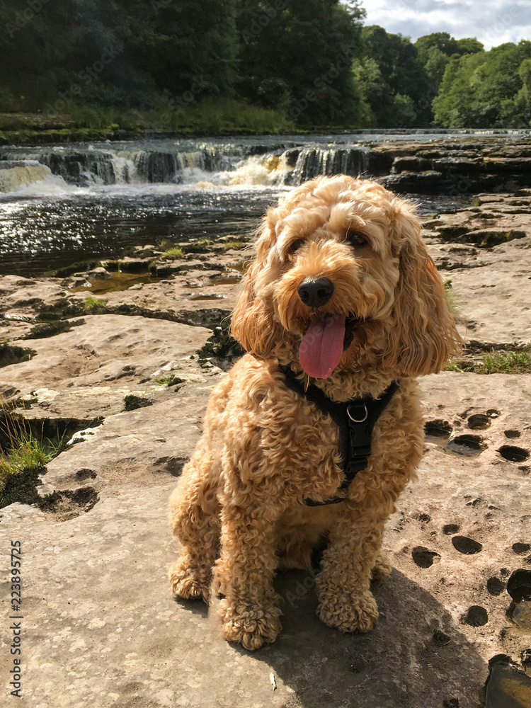 By the water By the water