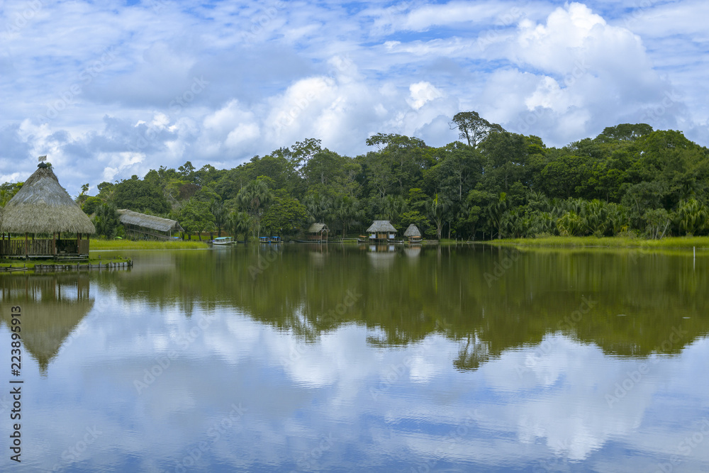 hermoso lago en la selva