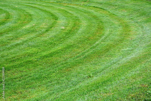 Slika na platnu beautiful smoothly neatly trimmed with circular stripes lawn with green grass in