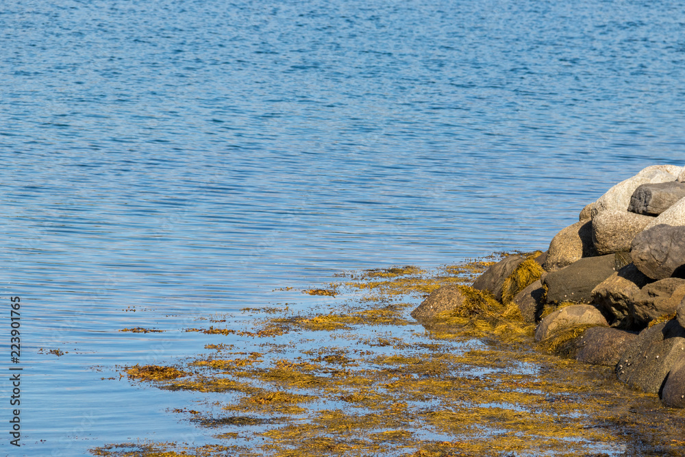 Fototapeta premium stones in water