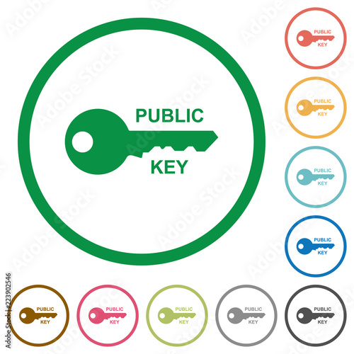Public key flat icons with outlines