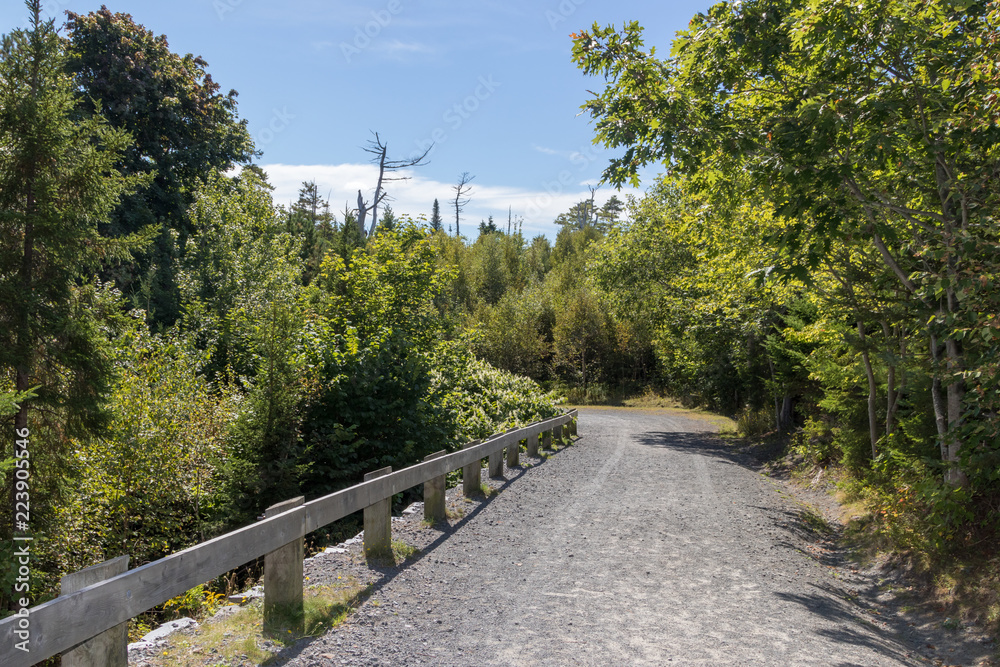road in the forest, point pleasant park, halifax