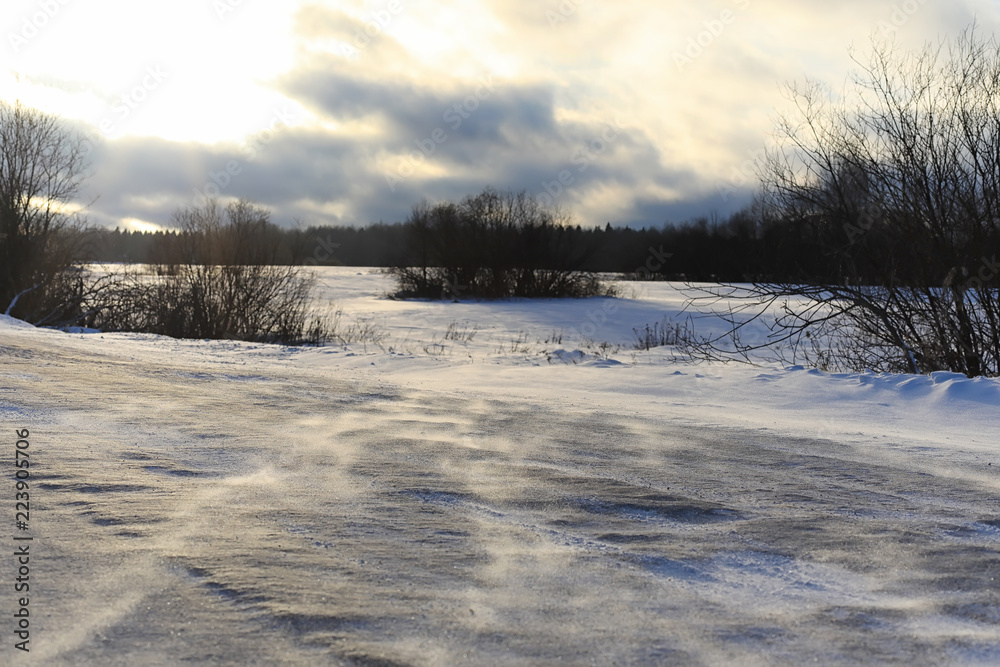 Winter landscape snow covered expanses. A park in the winter in Winter landscape snow covered expanses. A park in the winter in