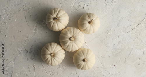From above view of white pumpkins placed on rough white background
