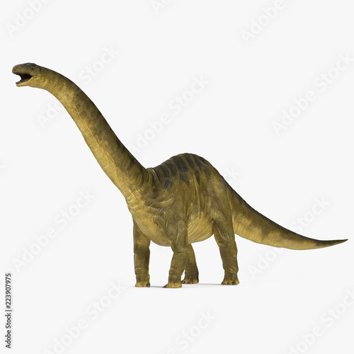 Apatosaurus Dinosaur model on white. 3D illustration