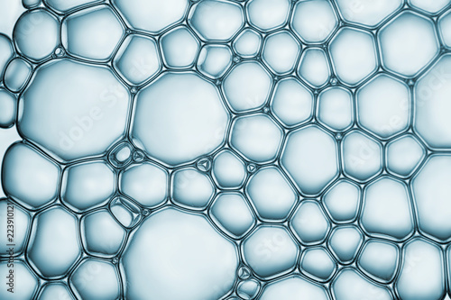 Macro close up of soap bubbles look like scientific image of cell and cell membrane