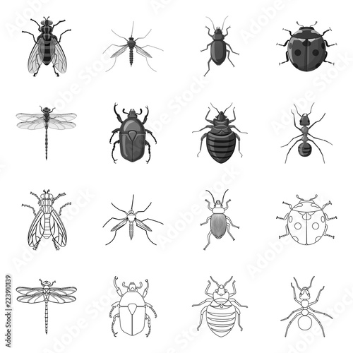 Vector illustration of insect and fly logo. Set of insect and element stock symbol for web. © Svitlana