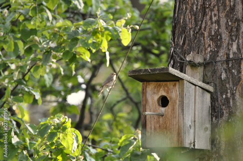 bird house with a bird in the background by jziprian