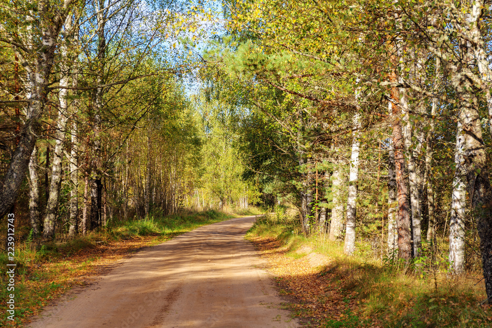 dirt road in early autumn