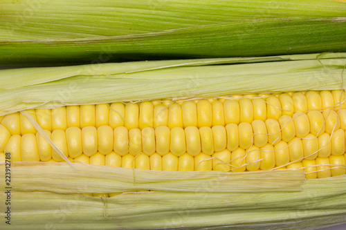 Mazorca de maíz dulce fresco