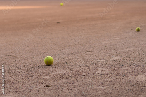 tennis ball on the field © Arkadiy