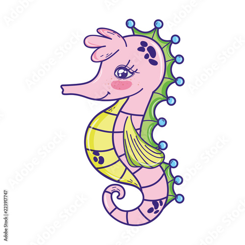 cute seahorse tropical sea animal photo