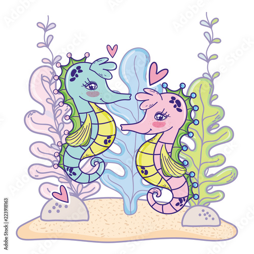 seahorses couple animals with hearts and seaweed plants