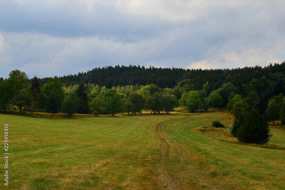 a trail in the Złote mountains, a trail to the Borówkowa mountain a trail in the Złote mountains, a trail to the Borówkowa mountain
