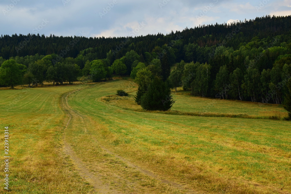  a trail in the Rychlebské hory,  Złote mountains, a trail to the Borówkowa mountain