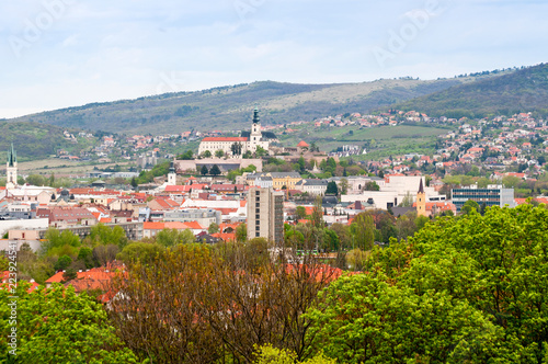 Town of Nitra  Slovakia