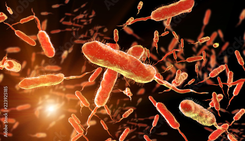 Vibrio cholerae, Gram-negative bacteria. 3D illustration of bacteria with flagella photo