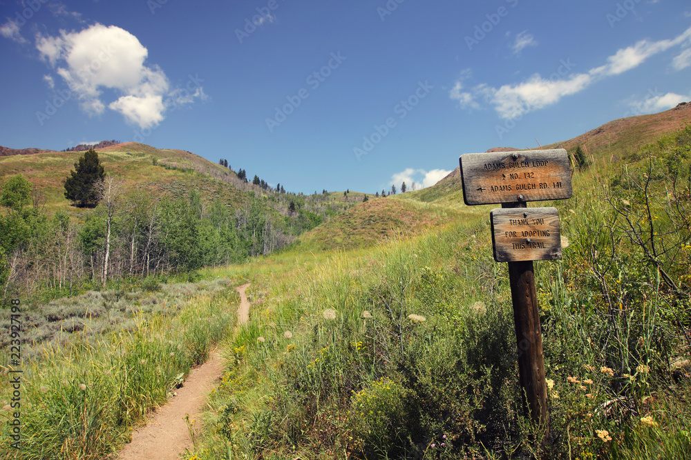 Lane's trail is a hiking trail near Ketchum in Idaho, USA 