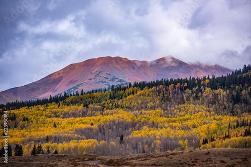 Mountains with fall color in Colorado