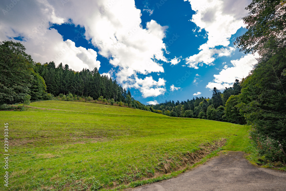 Fototapeta premium Dirt track through a green alpine valley