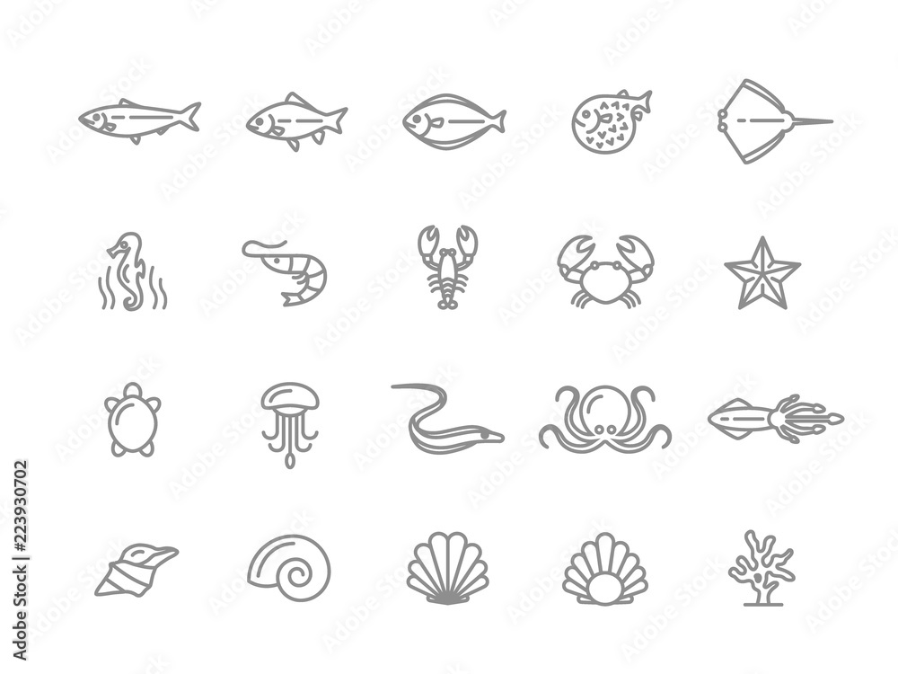 Obraz premium Zestaw ikon linii ryb i owoców morza. Krewetki, ostrygi, kalmary, kraby, łokcie, fugu, homary, karpie, jesiotry, meduzy, ośmiornice, żółwie, rozgwiazdy, koralowce, sprzedaż, koniki morskie i inne. Edytowalny skok.