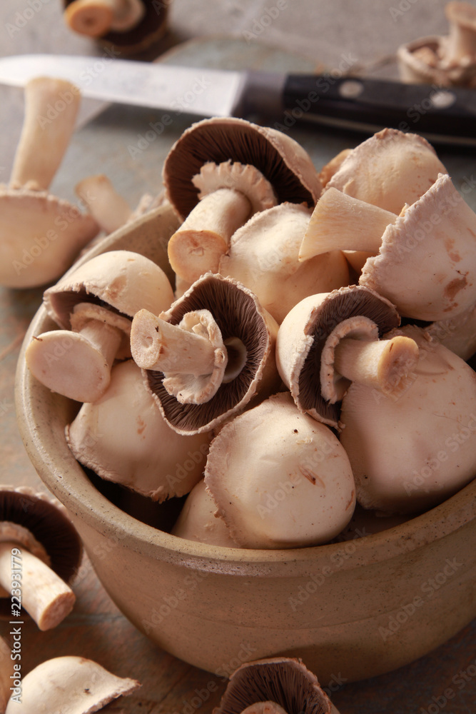 preparing fresh horse mushrooms preparing fresh horse mushrooms